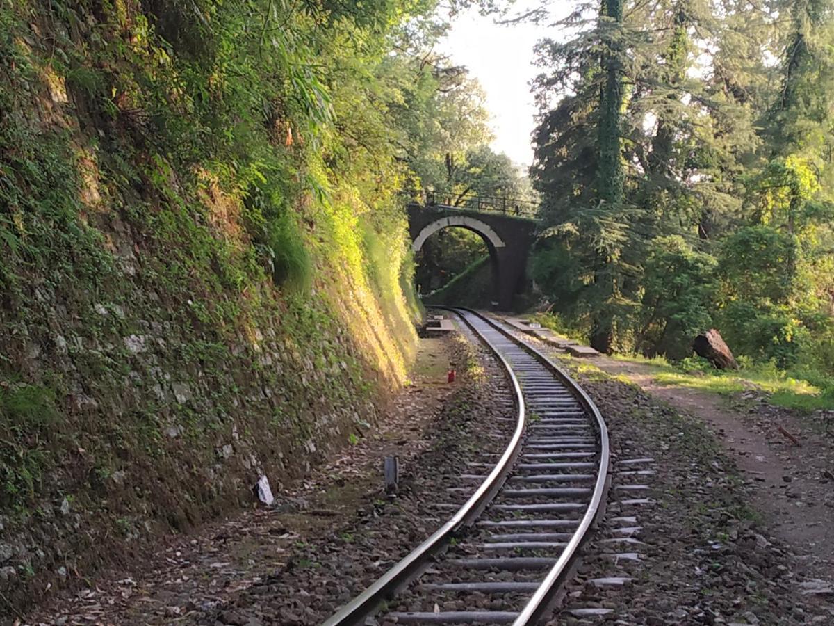 Garden Cottages Shimla Bagian luar foto
